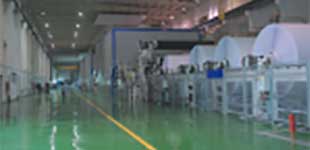 山東晨鳴紙業(yè)集團(tuán)股份有限公司